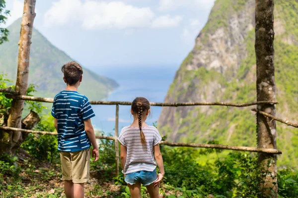 子供兄妹カリブ海セントルシア島のピトン山の風景を楽しんでいるの背面図 — ストック写真