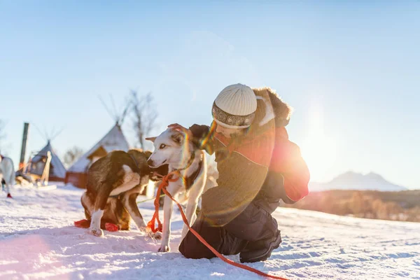 Adolescente Menino Ter Abraço Com Cão Trenó Husky Norte Noruega — Fotografia de Stock