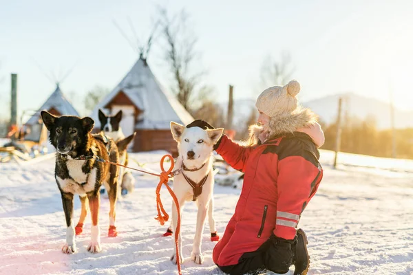 在挪威北部的一个农场里抱着沙哑的雪橇狗的可爱女孩 — 图库照片
