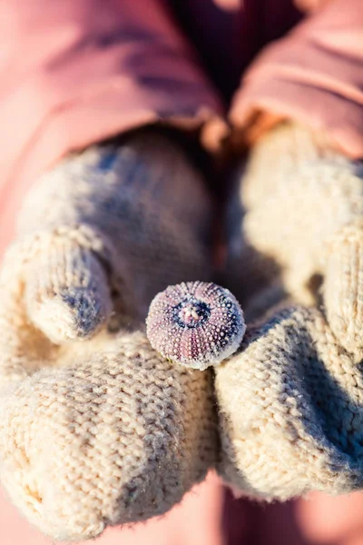 Nahaufnahme Eines Kleinen Mädchens Mit Gefrorenen Muscheln Ihren Händen — Stockfoto