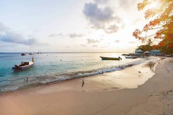 Beau Coucher Soleil Plage Sur Île Tropicale — Photo