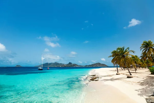 牧歌的なビーチ白い砂浜 ヤシの木とセント ビンセントおよびグレナディンのエキゾチックな島のターコイズ ブルーのカリブ海水 — ストック写真
