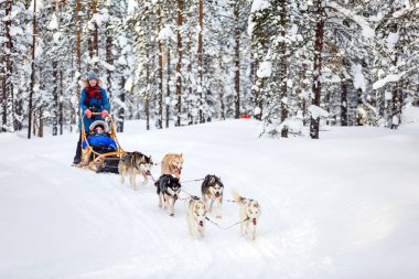 Husky dogs are pulling sledge with family at winter forest in Lapland Finland clipart