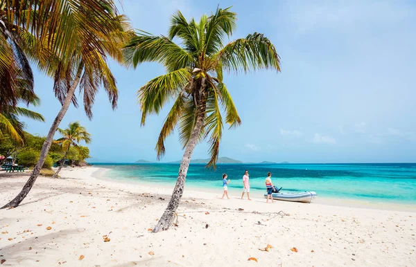 Otce Děti Užívat Tropické Pláži Dovolenou Exotický Ostrov Tobago Cays — Stock fotografie