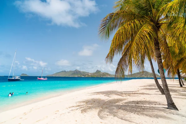 Idylické Tropické Pláže Bílým Pískem Palmami Tyrkysové Karibské Mořské Vody — Stock fotografie