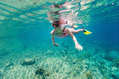 Genç kızın tropikal okyanusta yüzmeye sualtı fotoğraf