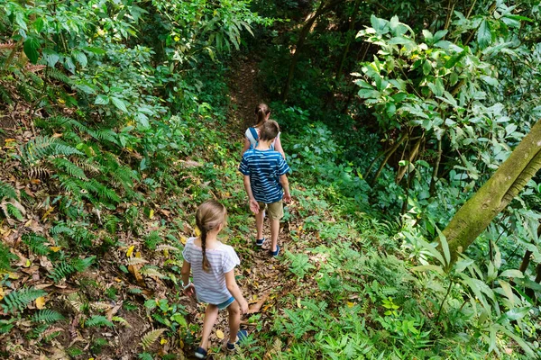 Family of mother and kids hiking on summer day at tropical island