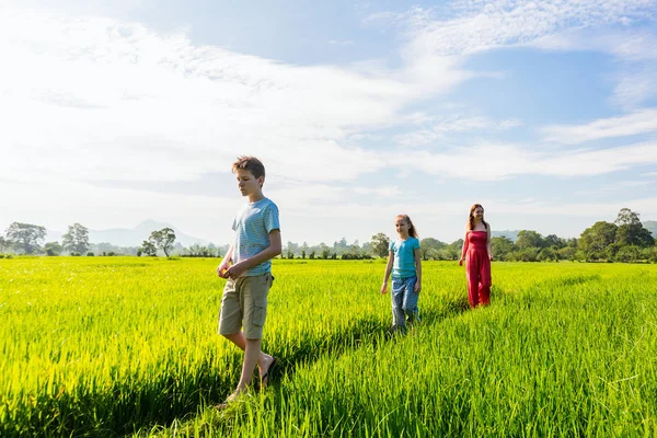 母亲家庭和两个孩子享受和平漫步在稻田与令人惊叹的看法在斯里兰卡山脉 — 图库照片