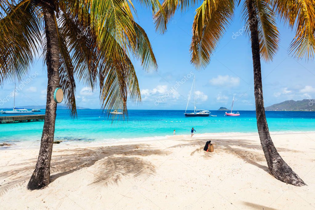 Idyllic tropical beach with white sand, palm trees and turquoise Caribbean sea water on exotic island in St Vincent and the Grenadines
