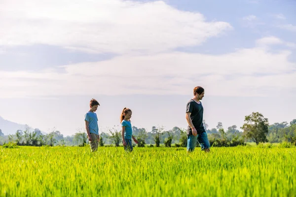 父と平和を楽しんでいる 人の子供の家族はスリランカの山景色と田んぼで歩いてください — ストック写真
