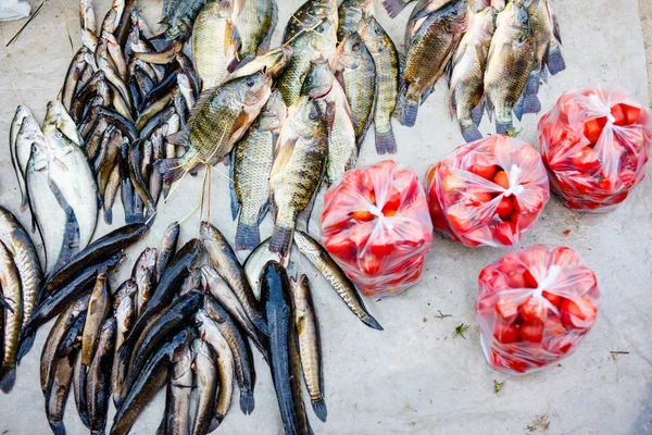 ミャンマーのインレー湖の魚市場で新鮮な魚やトマト — ストック写真
