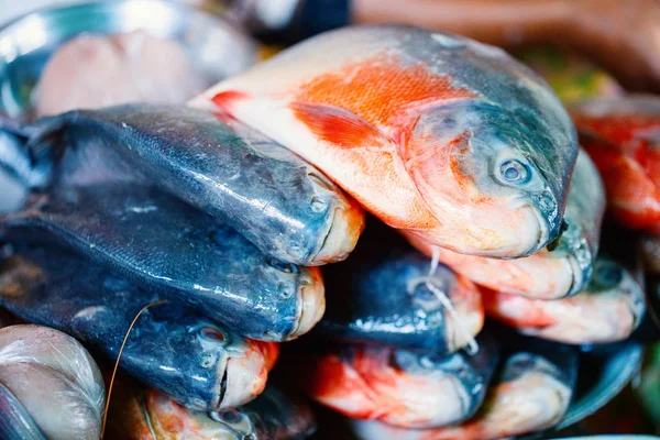 魚市場での新鮮な魚 — ストック写真