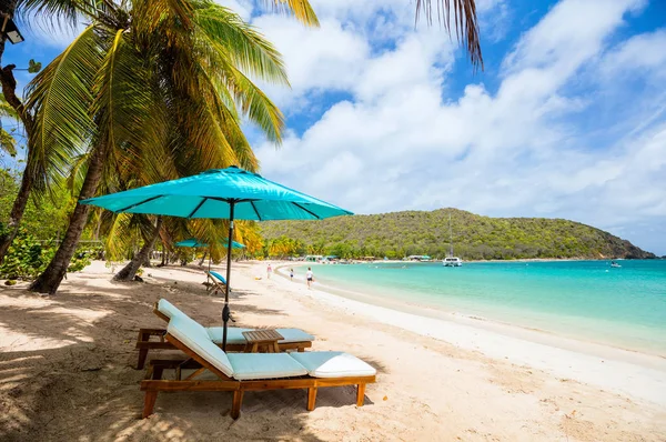 Idyllischer Tropischer Strand Mit Weißem Sand Palmen Und Türkisfarbenem Karibischem — Stockfoto