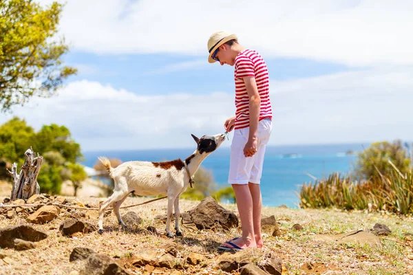 十几岁男孩喂养山羊在阳光明媚的夏日户外农场 — 图库照片