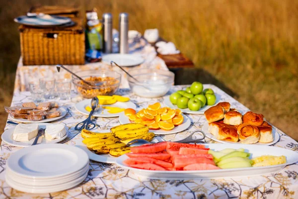 Lujo Safari Picnic Desayuno Arbusto Con Frutas Pasteles —  Fotos de Stock