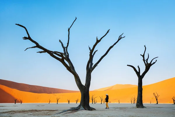 Young Girl Dead Camelthorn Trees Surrounded Red Dunes Deadvlei Namibia — Stock Photo, Image
