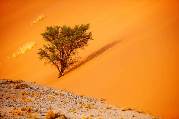Κοντινό Πλάνο Του Όμορφου Κόκκινου Αμμόλοφου Στο Sossusvlei Της Ναμίμπια — Φωτογραφία Αρχείου