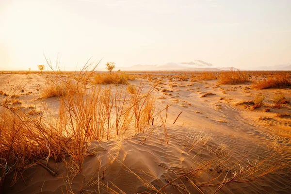Uitgestrekt Gebied Van Woestijn Bedekt Met Zand Gedroogd Gras Mooie — Stockfoto