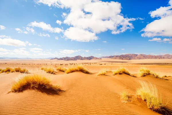 Krásná Krajina Namib Pouště Oranžové Písečné Duny Tiras Hory Pozadí — Stock fotografie