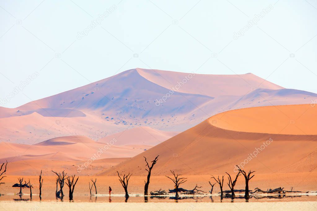 Mirage at Deadvlei Namibia where dried out camelthorn trees surrounded by red sand dunes