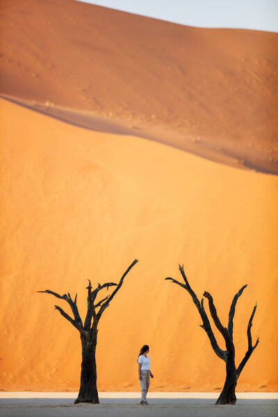 Young woman among dead camelthorn trees and red dunes in Deadvlei in Namibia