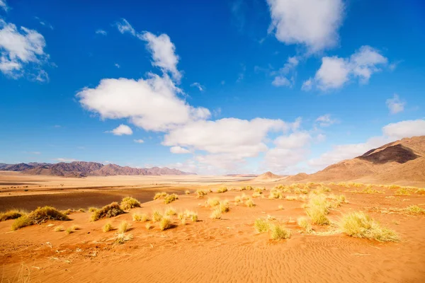 Beautiful landscape of Namib desert with orange sand dunes and Tiras mountains on background