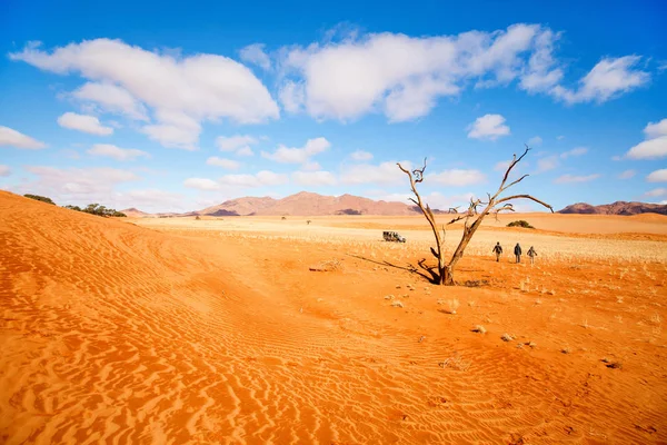 Familie Verkennen Namib Woestijn Tijdens Vakantie Namibië — Stockfoto