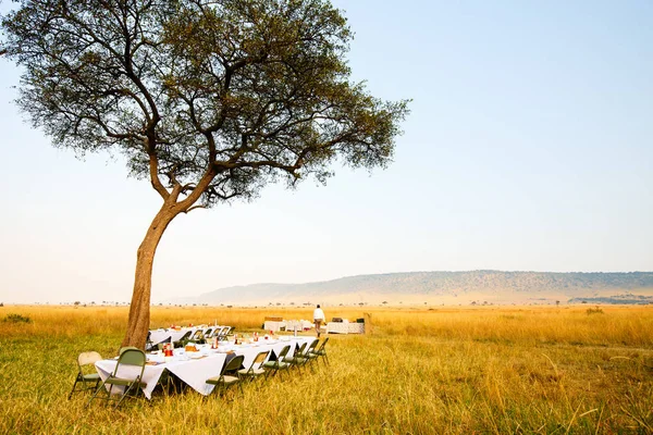 Luxusní Snídaně Ceně Bush Národním Parku Masai Mara Keni — Stock fotografie