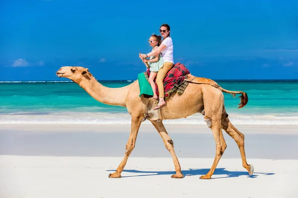 Семья Мать Дочь Верхом Верблюдах Тропическом Пляже Белым Песком — стоковое фото
