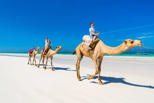 Familjen Mor Och Barn Rida Kameler Tropiska Vit Sandstrand — Stockfoto