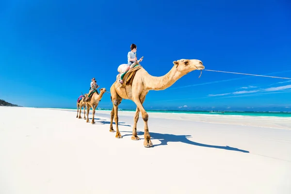家庭母亲和孩子在热带白沙海滩骑骆驼 — 图库照片