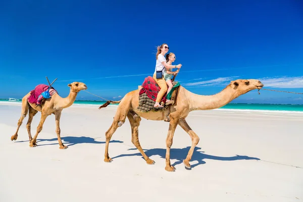 Family Mother Daughter Riding Camels Tropical White Sand Beach — Stock Photo, Image