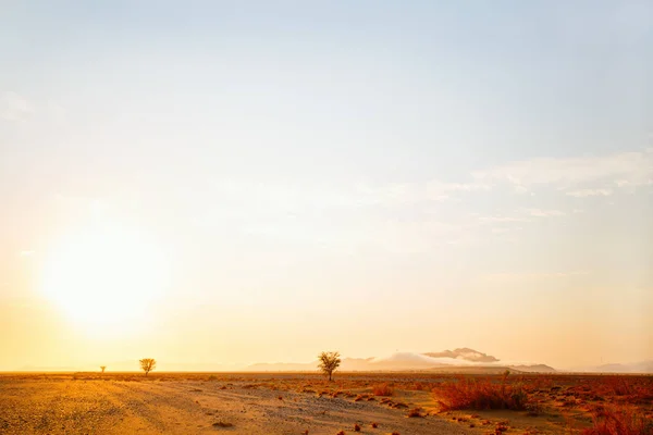 日の出のナミブ砂漠の美しい風景 — ストック写真