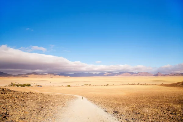 Arka Planda Tiras Dağları Ile Namib Çölü Güzel Manzara — Stok fotoğraf