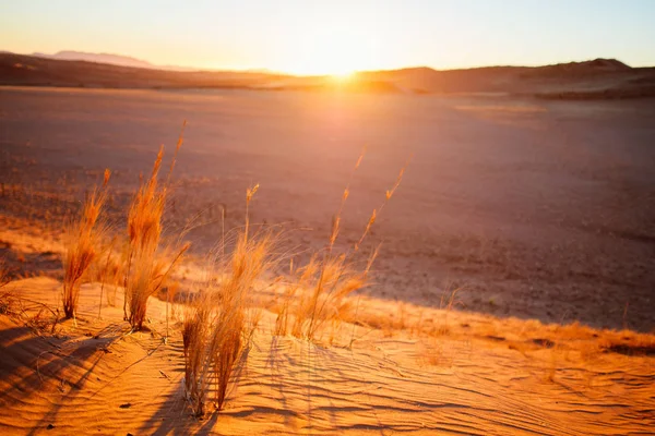 Pôr Sol Deslumbrante Sobre Dunas Areia Vermelha Deserto Namib — Fotografia de Stock