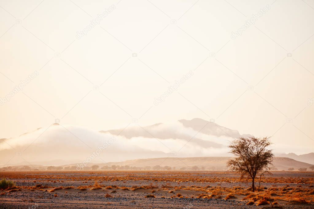 Beautiful landscape of Namib desert at sunrise