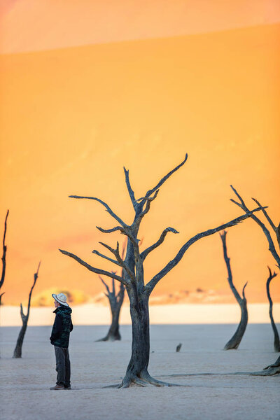 Teenage boy among dead camelthorn trees surrounded by red dunes in Deadvlei in Namibia