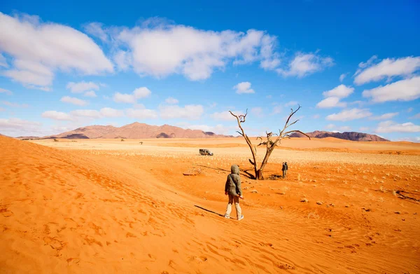 Famiglia Esplorare Namib Deserto Durante Vacanza Namibia — Foto Stock