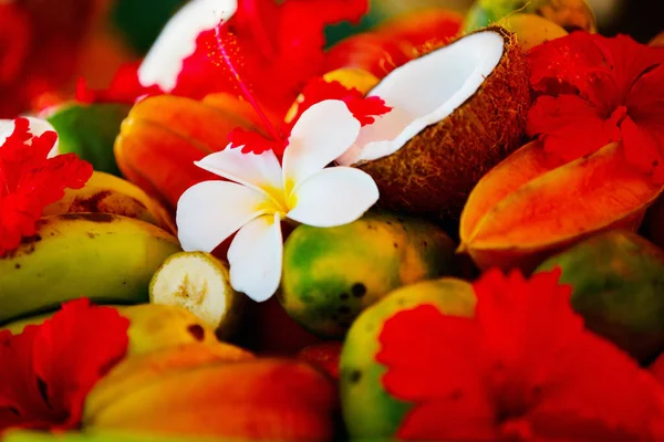 フランジパニやハイビスカスの花で飾られたいくつかのココナッツやトロピカルフルーツ — ストック写真