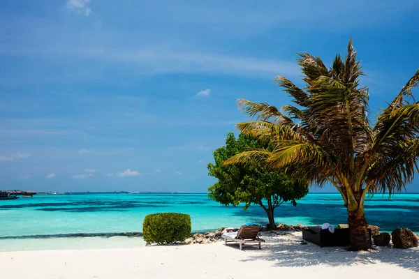 Bella Spiaggia Tropicale Sull Isola Esotica Delle Maldive — Foto Stock