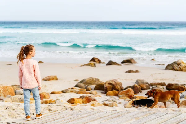 Вид Сзади Восхитительной Маленькой Девочки Наслаждающейся Пейзажем Прекрасного Пляжа Лландудно — стоковое фото