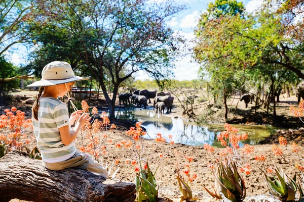 Liten Flicka Afrikansk Safari Semester Njuter Vilda Djur Visning Vattenhål — Stockfoto