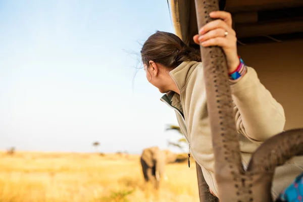 Женщина Сафари Игры Диск Наслаждаясь Тесным Контактом Слонами Кении Африка — стоковое фото