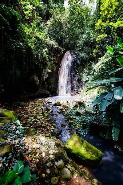 Beautiful Landscape Diamond Waterfall Saint Lucia Island Caribbean — Stock Photo, Image