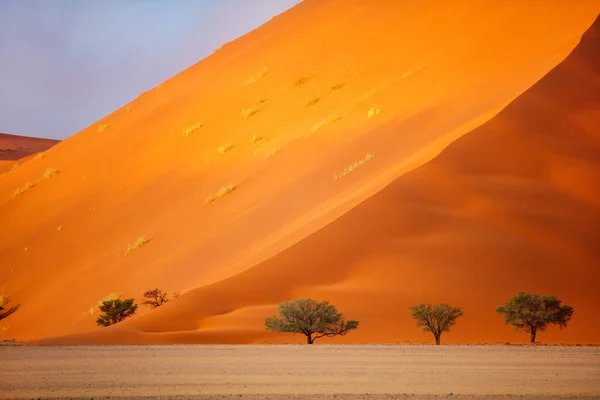 Beautiful Red Sand Dunes Sossusvlei Namibia — Stock Photo, Image