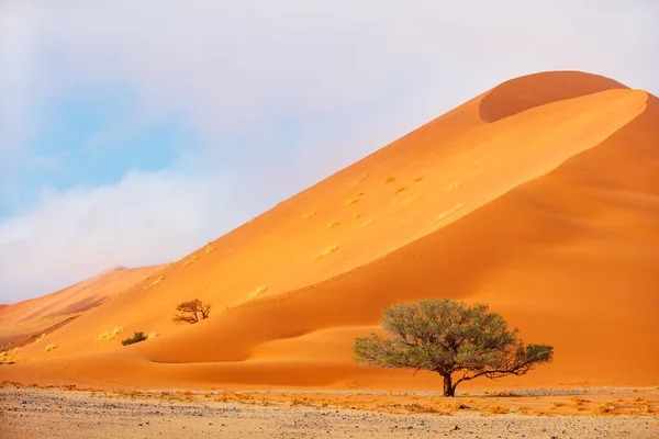 Όμορφη Κόκκινη Αμμοθίνες Sossusvlei Στη Ναμίμπια — Φωτογραφία Αρχείου