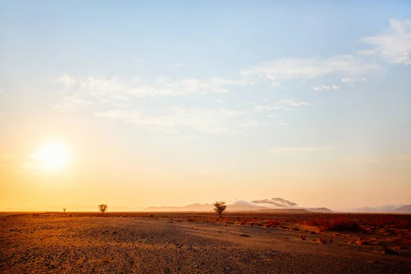 Prachtig Landschap Van Namibische Woestijn Bij Zonsopgang — Stockfoto