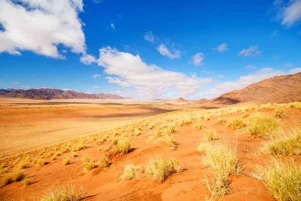 Bela Paisagem Deserto Namib Com Dunas Areia Laranja Montanhas Tiras — Fotografia de Stock