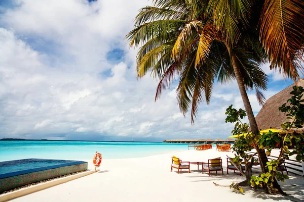 Maldivler Deki Egzotik Adada Güzel Tropikal Plaj — Stok fotoğraf