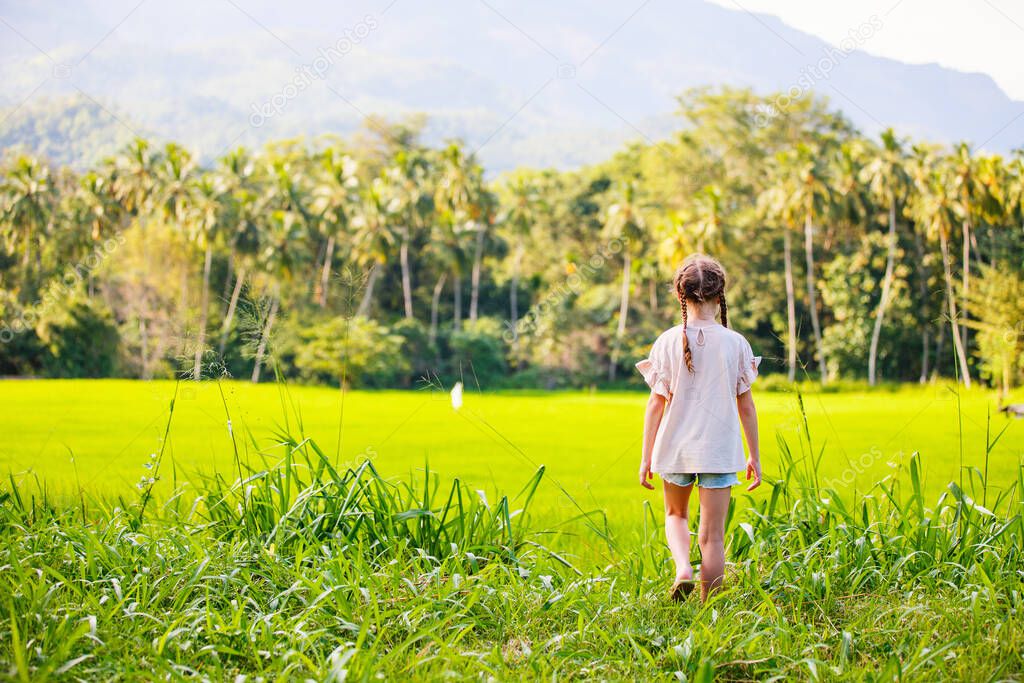 Adorable girl enjoying beautiful evening walk in rice fields in Sri Lanka